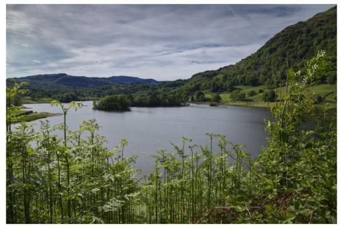 Rydal water, Lake District, UK.. 